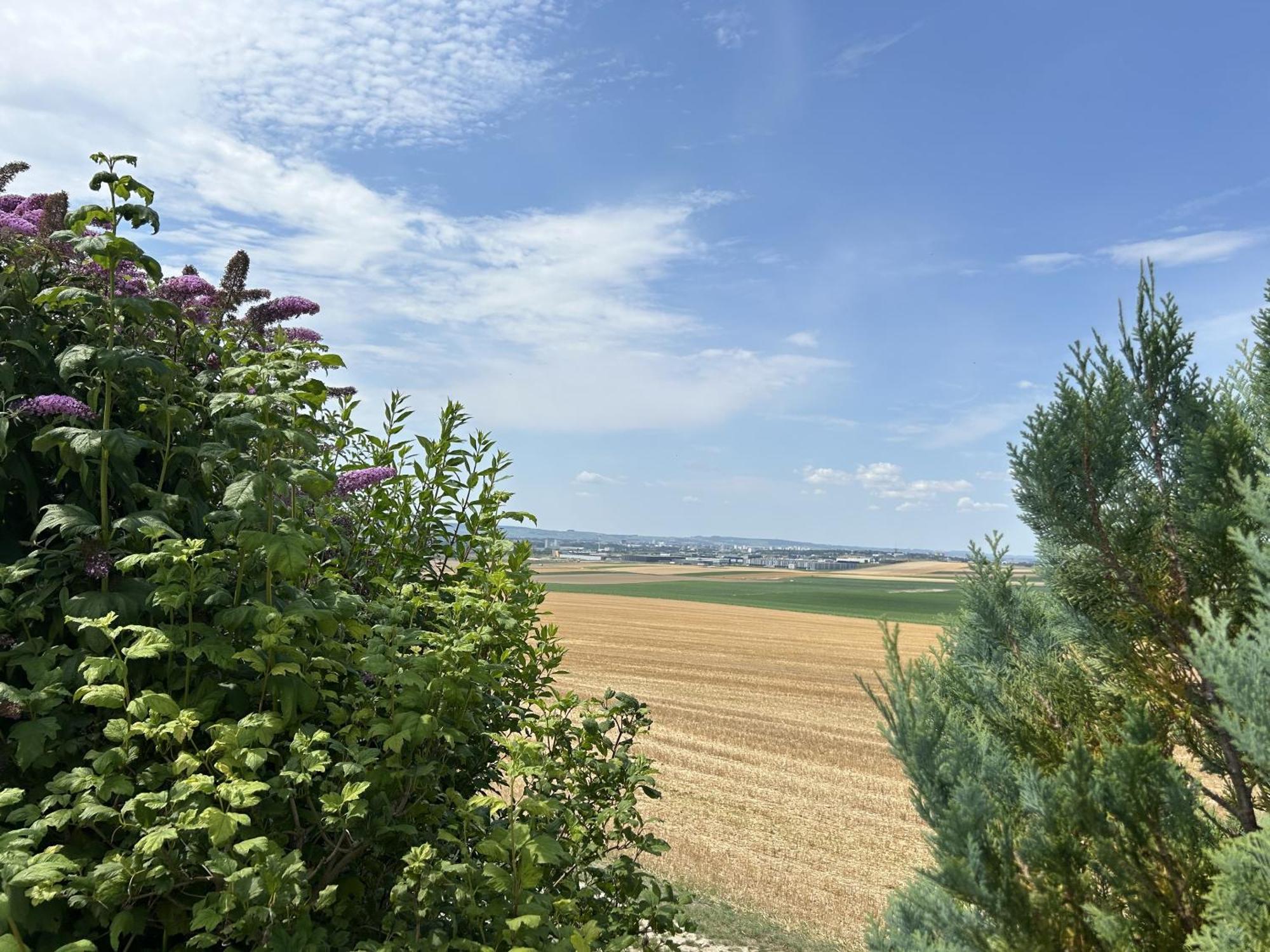 Le Charme Vila Cernay-les-Reims Exterior foto